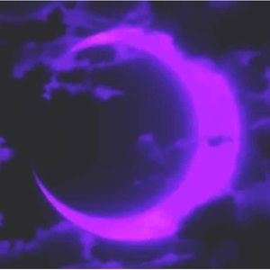 Meet your Posher, Jaycee